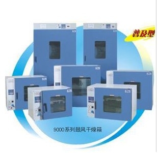 上海一恒鼓风干燥箱DHG-9055A
