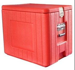 北京福意联2-8℃药品冷藏箱FYL-BW-50L