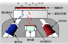 大连博克斯荧光法溶解氧仪