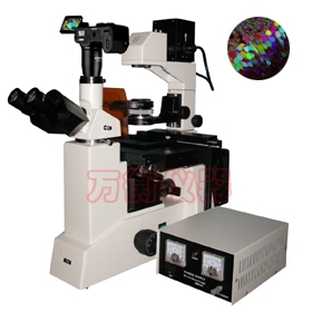 上海万衡数码型落射荧光显微镜M50D