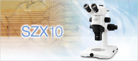 奥林巴斯SZX10体视显微镜SZX10-3131