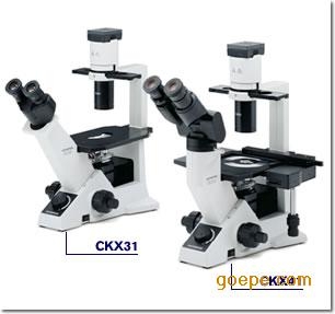 奥林巴斯倒置显微镜CKX31-A11PHP