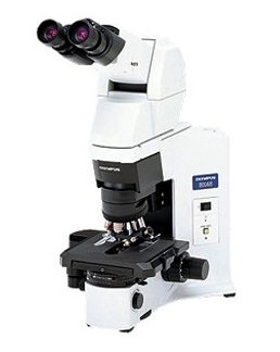 奥林巴斯相差显微镜BX45-72P15