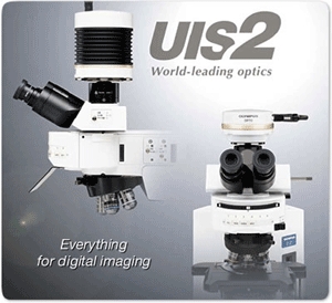 奥林巴斯BX61电动显微镜BX61-32FDIC-F08