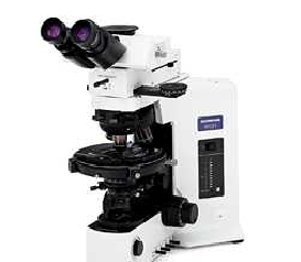 奥林巴斯BX2专业偏光显微镜BX41-75J21PS