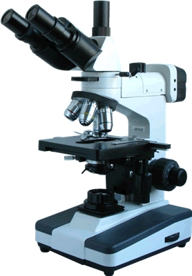 上海彼爱姆正置金相显微镜BM-53XC
