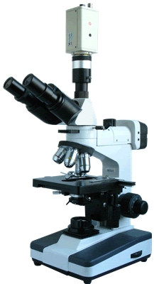 上海彼爱姆正置金相显微镜BM-53XCC