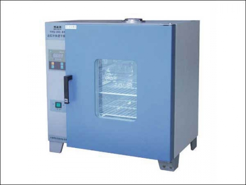 上海博泰电热恒温干燥箱GZX-DH.300-BS