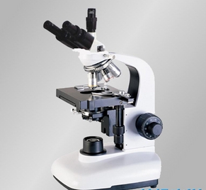 上海缔伦生物显微镜TL1650CA