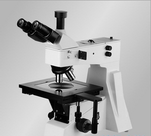 上海缔伦正置金相显微镜XTL-302
