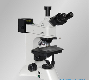 上海缔伦微分干涉相衬显微镜XTL3230-DIC