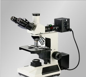 上海缔伦透反射正置金相显微镜XTL-2030A
