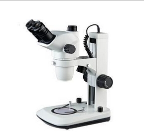 上海缔伦光学连续变倍体视显微镜SM-2AT