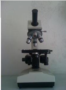 上海缔伦偏光显微镜XSP-59XA