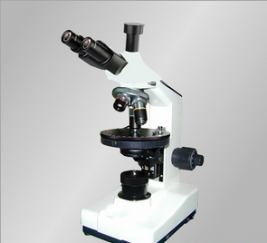 上海缔伦简易偏光显微镜TLXP-130