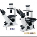 奥林巴斯倒置显微镜CKX31-A11RC