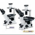奥林巴斯荧光倒置显微镜CKX41-A32FL/PH